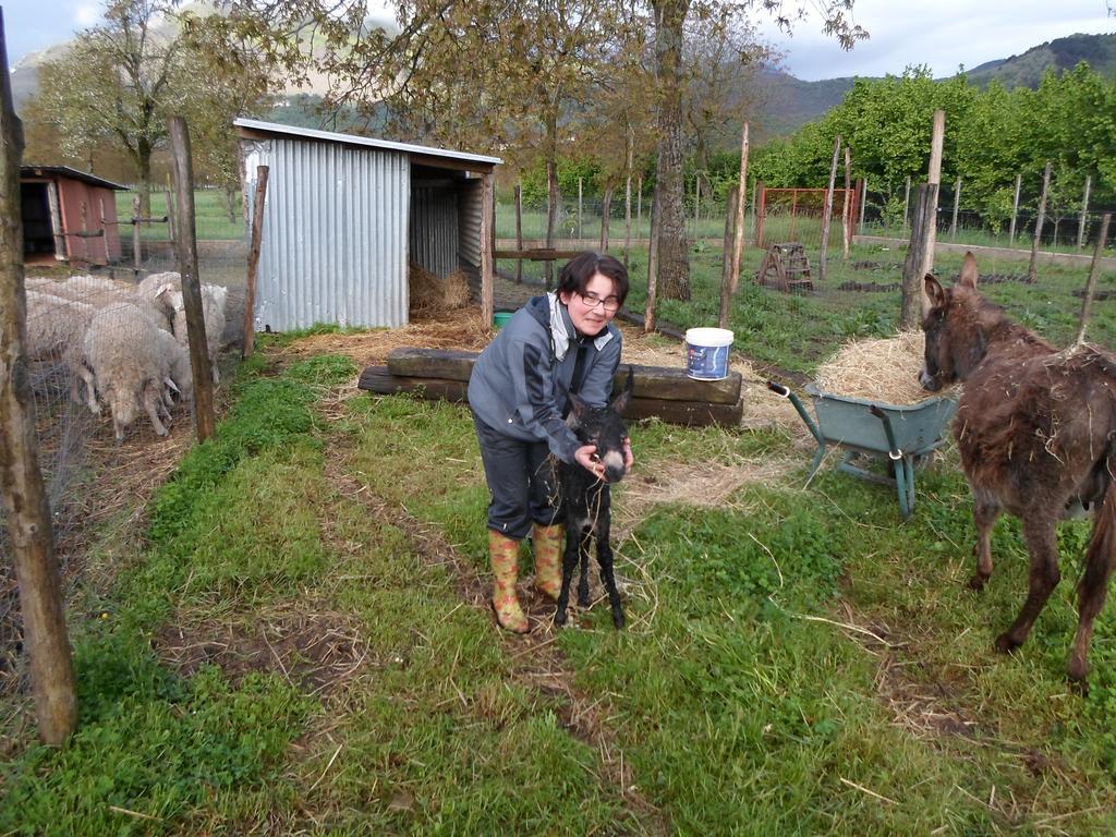 Azienda Agrituristica Pericle Montella Ngoại thất bức ảnh
