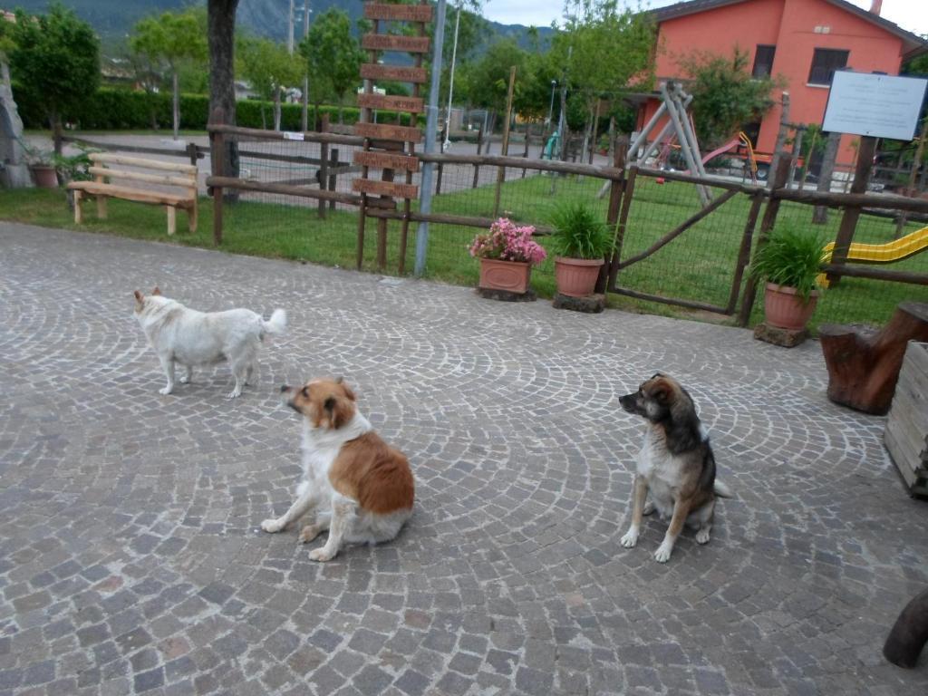 Azienda Agrituristica Pericle Montella Ngoại thất bức ảnh