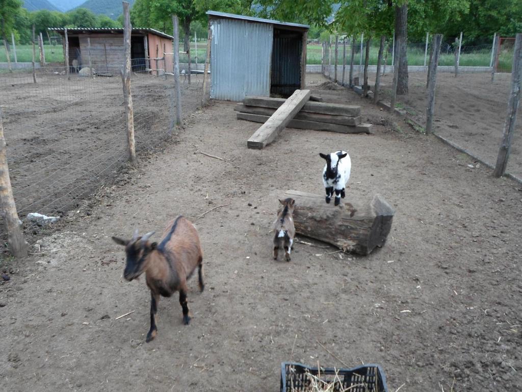 Azienda Agrituristica Pericle Montella Ngoại thất bức ảnh