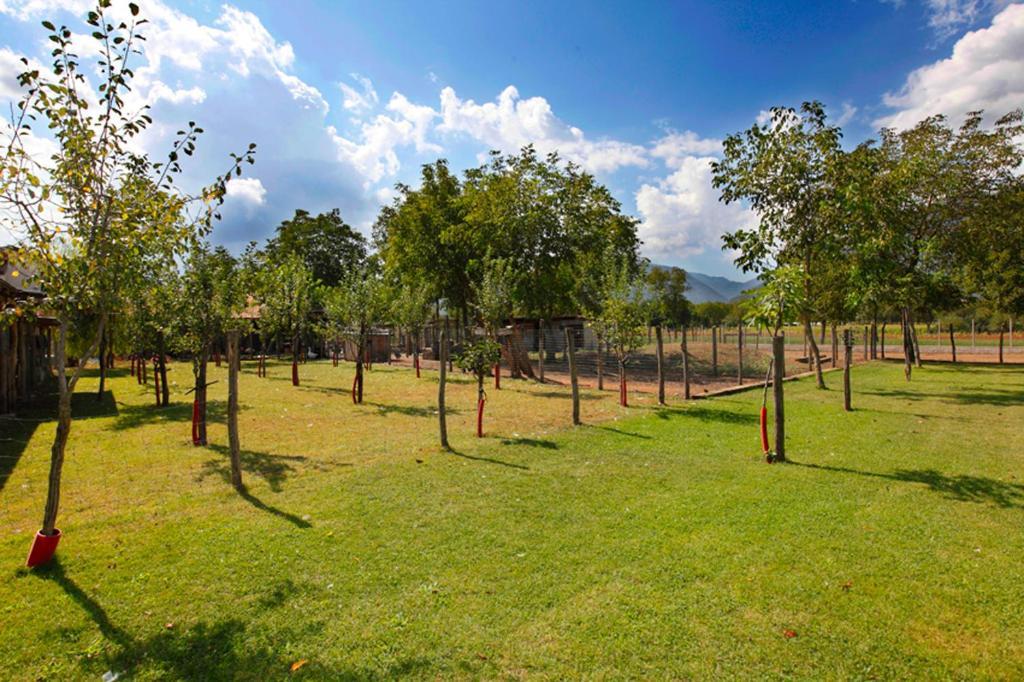 Azienda Agrituristica Pericle Montella Ngoại thất bức ảnh